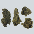 Araliae Cordatae Rhizoma