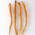 Glehniae Radix Cum Rhizoma